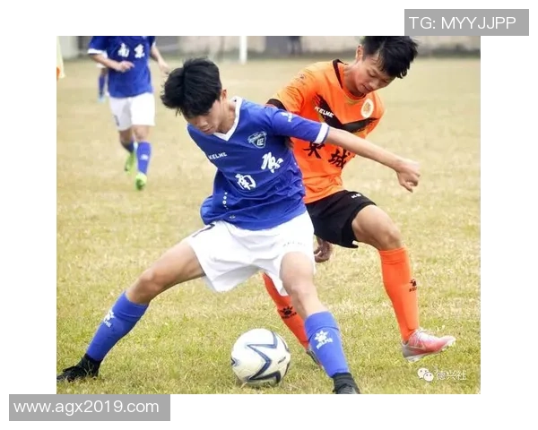 南京篮球队在锦标赛中的力量展现与战术分析全景点评